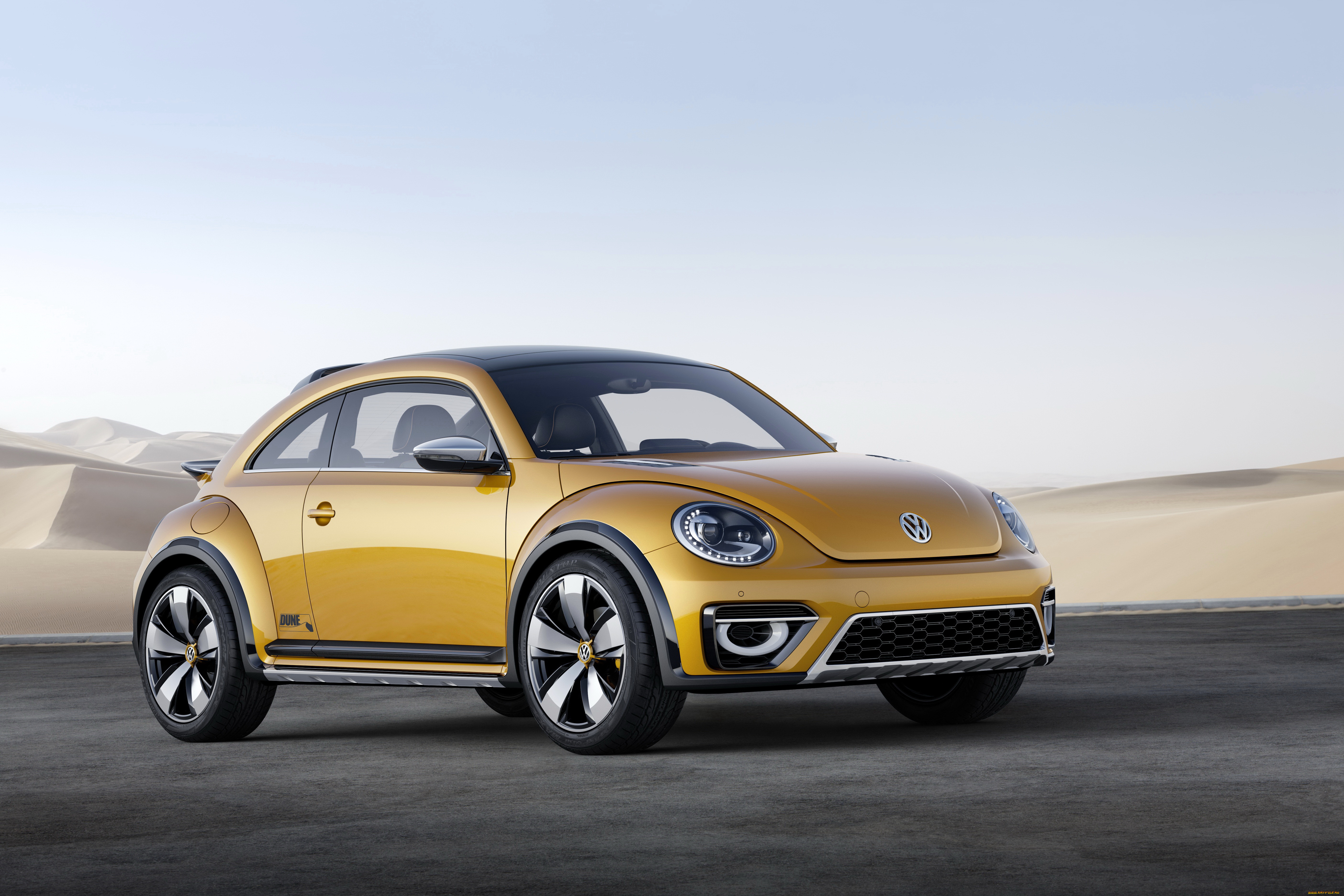 2014 volkswagen beetle dune, , volkswagen, beetle, dune, 